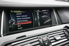 BMW 530D F10 3.0D 258 ZS FACELIFT INDIVIDUAL CITRINSCHWARZ