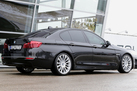 BMW 530D F10 3.0D 258 ZS FACELIFT INDIVIDUAL CITRINSCHWARZ